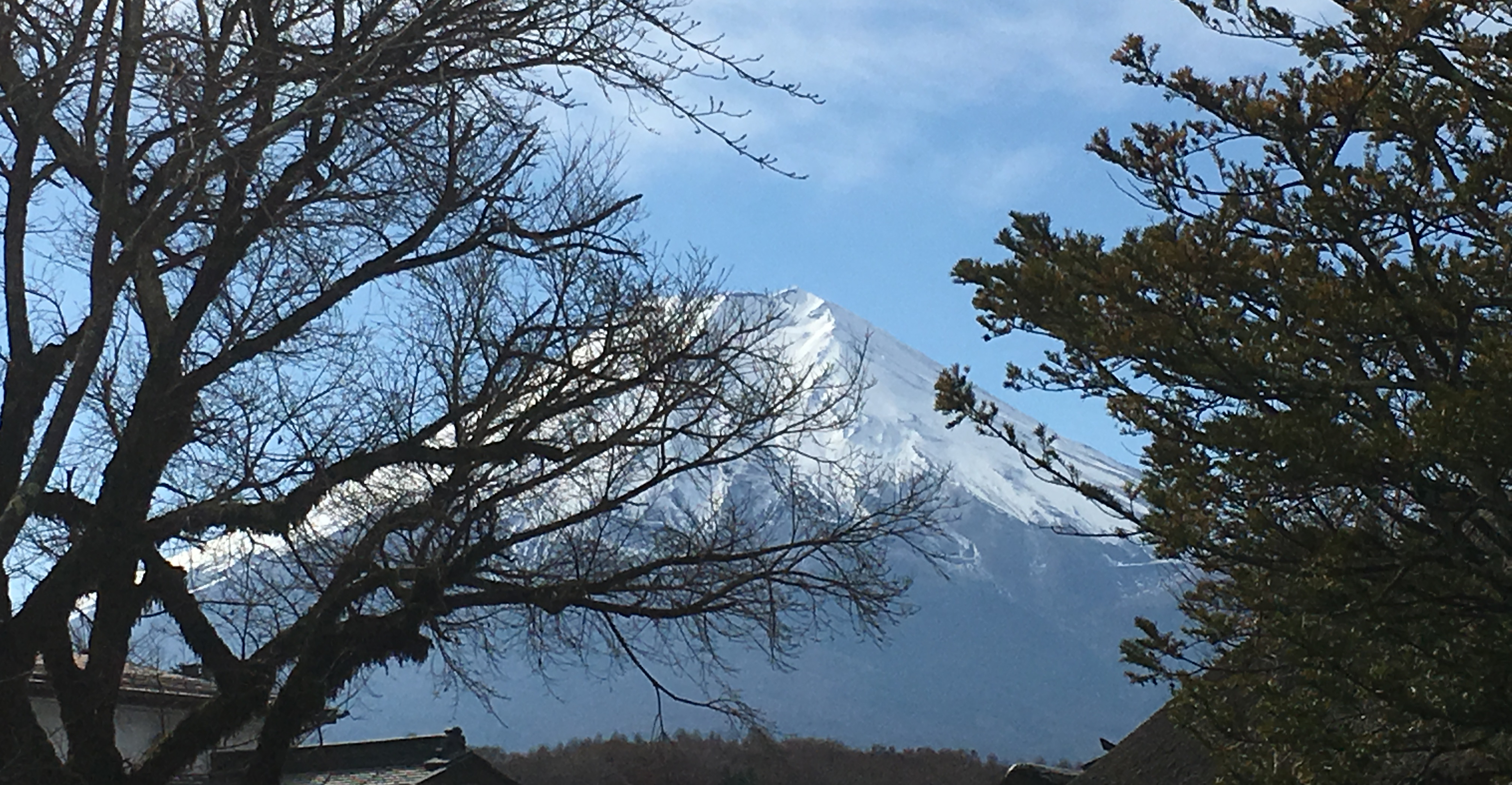 富士山